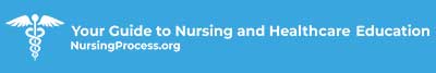 nursing process logo
